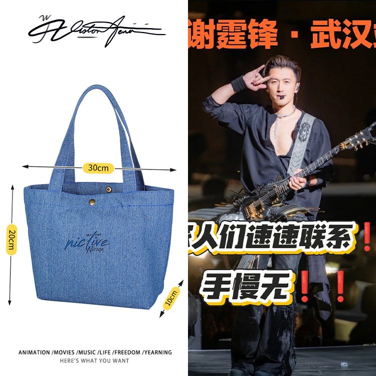 谢霆锋EVOLUTION武汉演唱会应援定制DIY牛仔布包袋子单肩手提环保