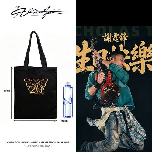谢霆锋Evolution进化20年×蝴蝶应援定制DIY帆布包袋单肩手提环保