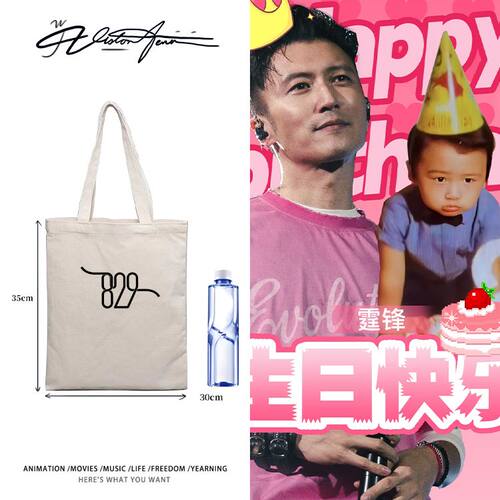 谢霆锋太原演唱会生日场锋行天下应援定制DIY帆布包袋单肩手提环
