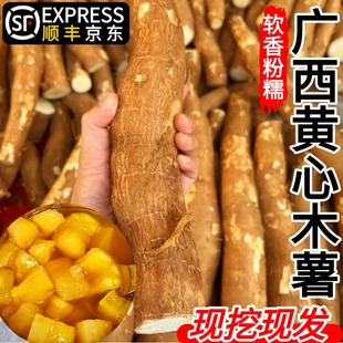 黄心木薯新鲜正宗黄肉面包木署羹广西粉糯糖水店无毒不需要泡水