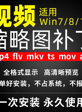 视频封面显示缩略预览图补丁mp4 flv mov mkv avi预览软件工具