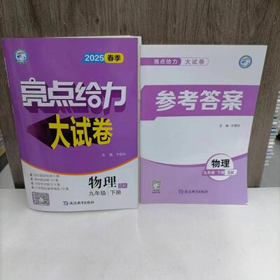 亮点给力大试卷物理九年级下册