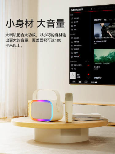 飞利浦无线蓝牙麦克风音响