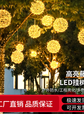 藤球灯户外防水挂树上的彩灯街道亮化树灯景观灯发光圆球灯装饰灯
