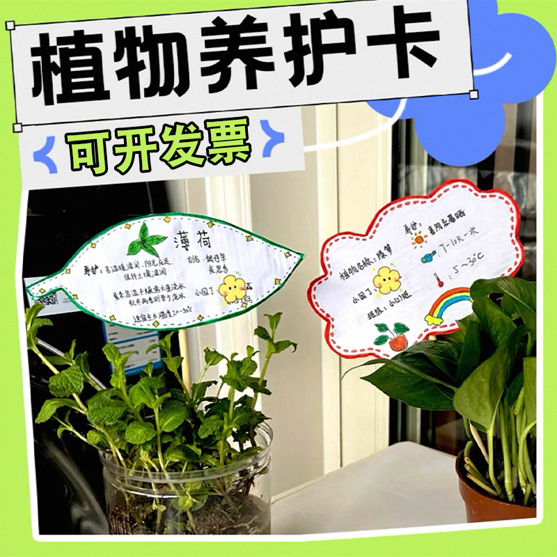 植物养护卡片绿植卡幼儿园标签记录卡盆栽姓名牌园艺作业活动