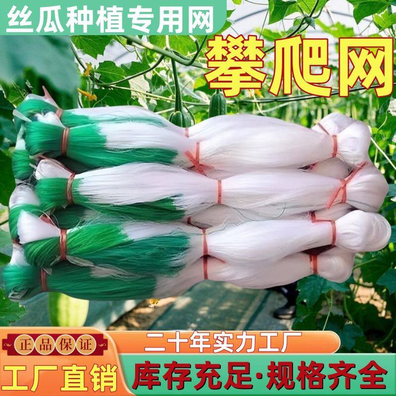 丝瓜专用爬藤网农用爬藤网丝瓜爬藤网丝瓜架网加粗特粗种植网网架