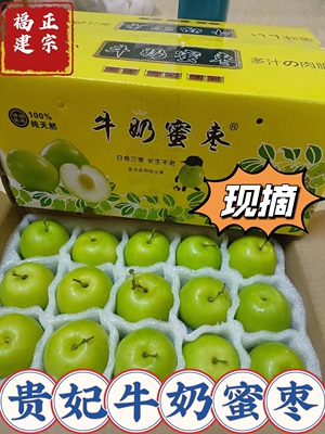 正宗福建漳州贵妃牛奶枣子新鲜水果现摘脆甜多汁（苹果青枣）整箱