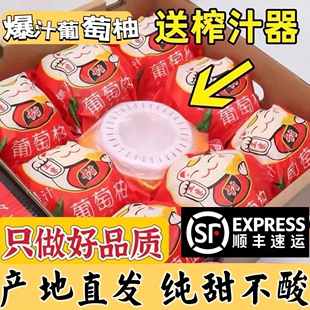 福建漳州新鲜水果黄金葡萄柚西柚多汁超甜精品礼盒5斤10斤 榨汁杯