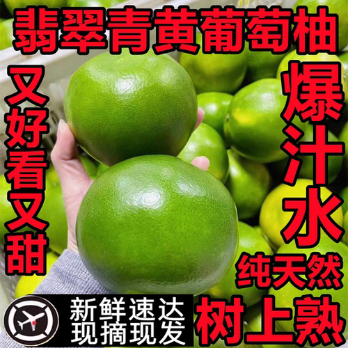福建漳州葡萄柚新鲜水果翡翠青媛青皮西柚精品礼盒5斤10斤+榨汁杯