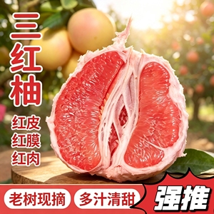 正宗福建平和三红柚子蜜柚当季新鲜水果琯溪红肉红柚10斤20斤50斤