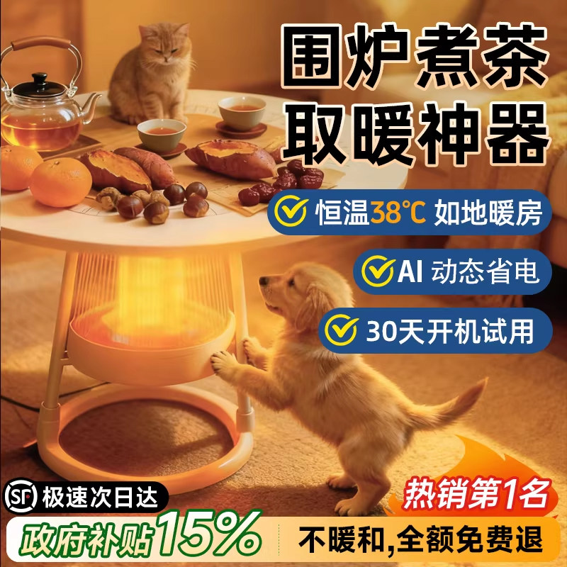 2025新款围炉取暖器烤火炉小太阳电暖气家用省电石墨烯加热神器鸟