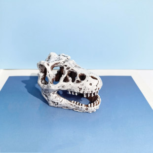 恐龙化石模型鱼缸水族箱造景沉水摆件动物骸骨爬宠躲避屋神龙头骨