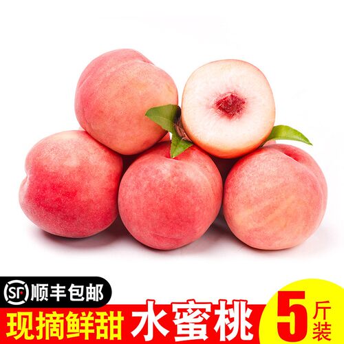 澳洲水蜜桃桃子价格 澳洲水蜜桃桃子图片 星期三