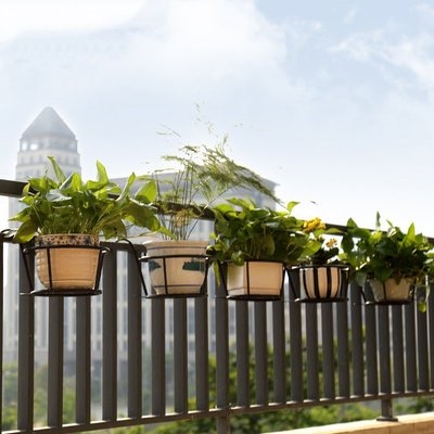 萝架护栏挂定做花艺悬挂t盆架式绿铁窗沿墙上花架栏杆阳台