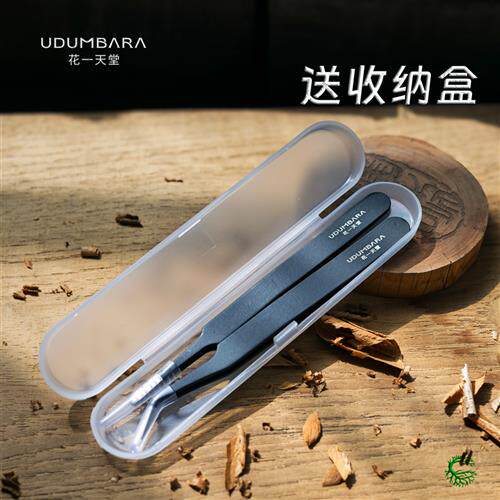 多肉植物镊子不锈钢直头弯头修根种植夹枯叶工具微景观送收纳盒