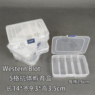 免疫组化湿盒5格省抗体 促销 western blot抗体孵育盒 wb抗体孵育