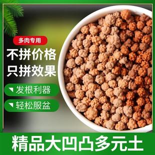 多元土多肉专用铺面拌土种植颗粒凹凸活力土橘红色营养土透气生根