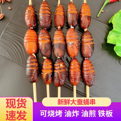 大蚕蛹串烧烤食材大全商用半成品蝉蛹20串/袋东北烧烤串