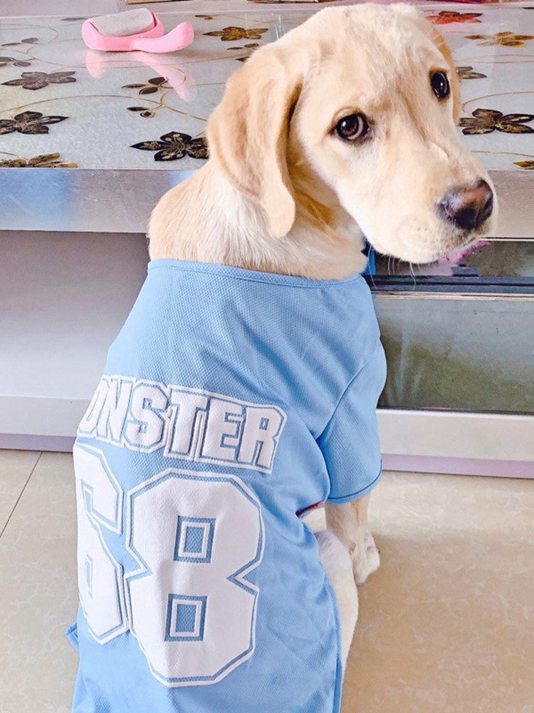 狗狗衣服秋冬夏季宠物金毛拉布拉多萨摩耶大狗秋季大型犬春秋背心