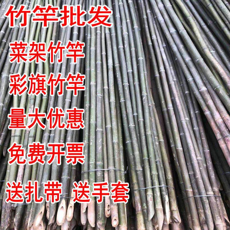 竹竿棍菜园搭架小细竹子竹杆子种菜豆角黄瓜蔬菜爬藤支架旗杆2米,鲜花速递/花卉仿真/绿植园艺,栅栏,淘宝优惠券,粉丝福利购,淘宝优惠卷