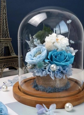 促销摆放创意静物花礼物桌面手办盲盒防尘罩容器软木塞玻璃瓶摆件