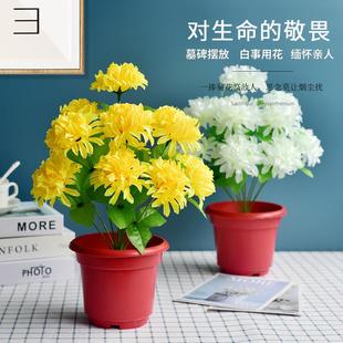 清明扫墓碑假花塑料绢花仿真菊花干花束上坟墓地拜祭祀用品手捧花