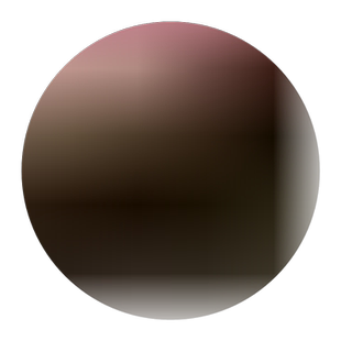 蝴蝶兰花苗盆栽带花剑兰花苗大苗带四季开花好养室内绿植花卉