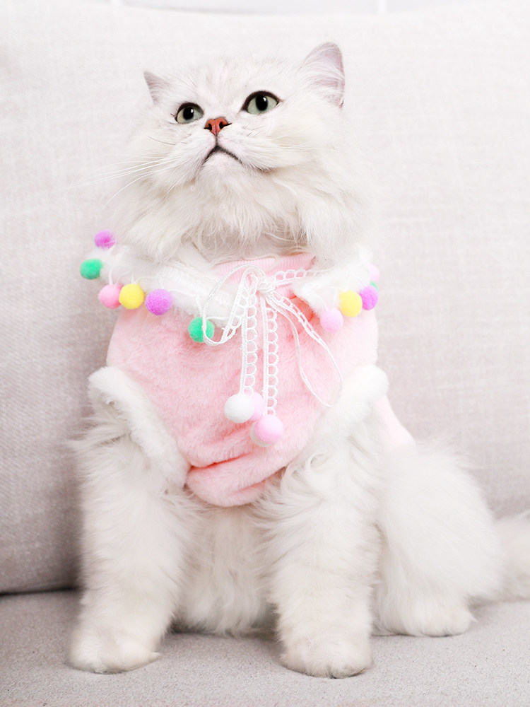 小猫咪衣服秋冬装猫猫小型幼猫蓝猫冬季可爱小奶猫的加厚宠物服装