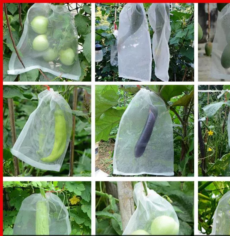 尼龙网袋种子袋浸种袋纱网袋袋子防虫袋火龙