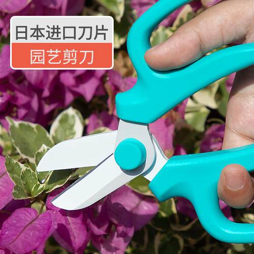 园艺剪刀修枝剪树枝剪家用花剪果树修剪树枝