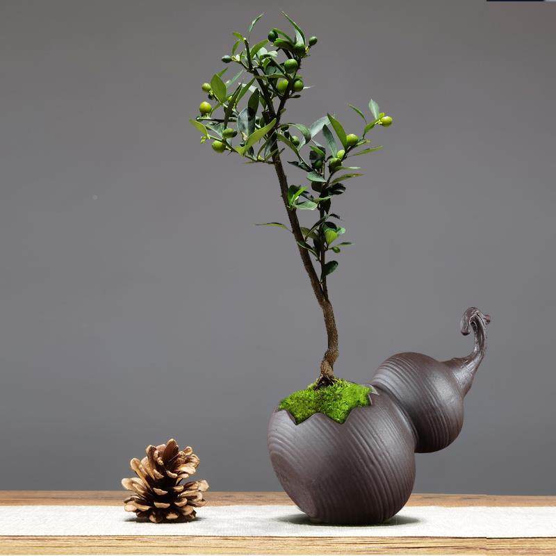 陶瓷葫芦小花盆创意造型绿植金弹子多肉紫砂紫檀黑松铁树造景透气,家居饰品,花盆,淘宝优惠券,粉丝福利购,淘宝优惠卷