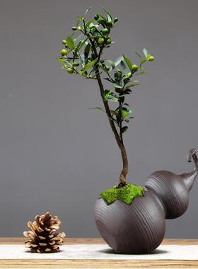 陶瓷葫芦小花盆创意造型