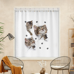 免打孔卧室窗帘出租房窗户遮挡隐私猫装饰布半遮光不透人布艺窗帘