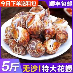 花螺鲜活新鲜特大海螺冷冻海鲜东风螺猫眼螺凤螺水产无沙无泥贝类