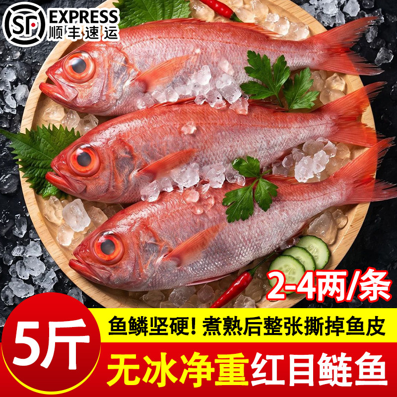 深海红目鲢鱼大眼鸡海捕大眼鲷冷冻新鲜红鲷鱼海鱼家海鲜水产批发