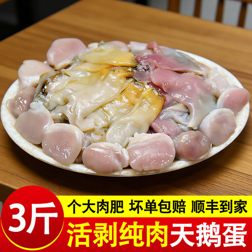 天鹅蛋肉速冻大蚌蛤肉新鲜纯肉烧烤火锅当天去壳现剥原浆商用顺丰