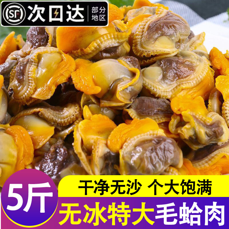 毛蛤蜊肉冷冻毛蚬子麻蚶子麻蛤赤贝肉凉拌山葵菜海鲜水产整箱顺丰