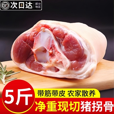 新鲜猪拐骨冷冻猪肘拐骨带筋带皮