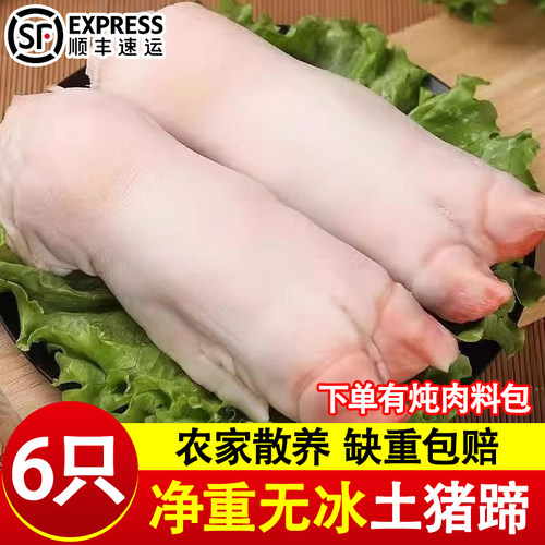 猪蹄冷冻批发带筋商用猪脚生鲜整个猪手新鲜前蹄后蹄整箱猪肉大个