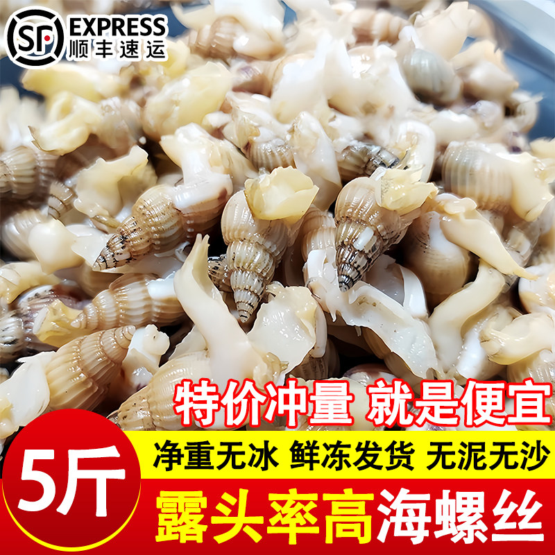 海螺蛳海锥海瓜子鲜活冷冻海螺丝新鲜熟冻大麻辣海鲜烧烤商用批发