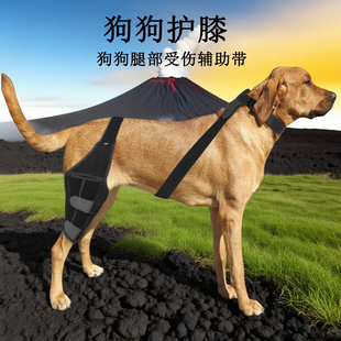 狗狗护膝髌骨脱位辅助固定器术后康复带后腿支撑带韧带拉伤护膝