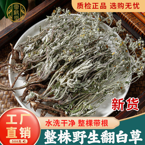 雷鹤堂河北野生翻白草中药材