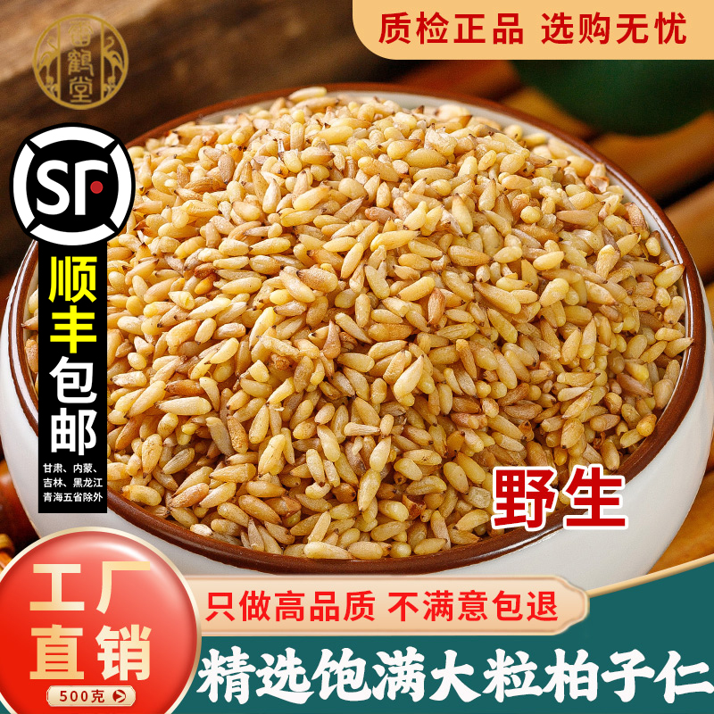 雷鹤堂野生山东中药材柏子仁精选