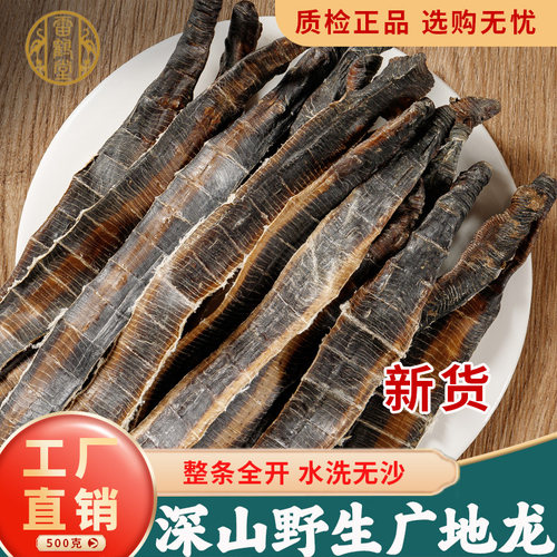 雷鹤堂广西中药材广地龙精选无沙