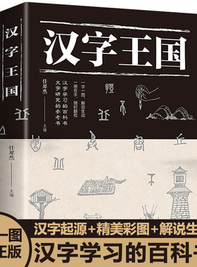汉字王国 正版 汉字故事 三四五六年级课外书必读收录数百个常用汉字详细介绍剖析了解汉字起源演变详细过程社会科学语言文字