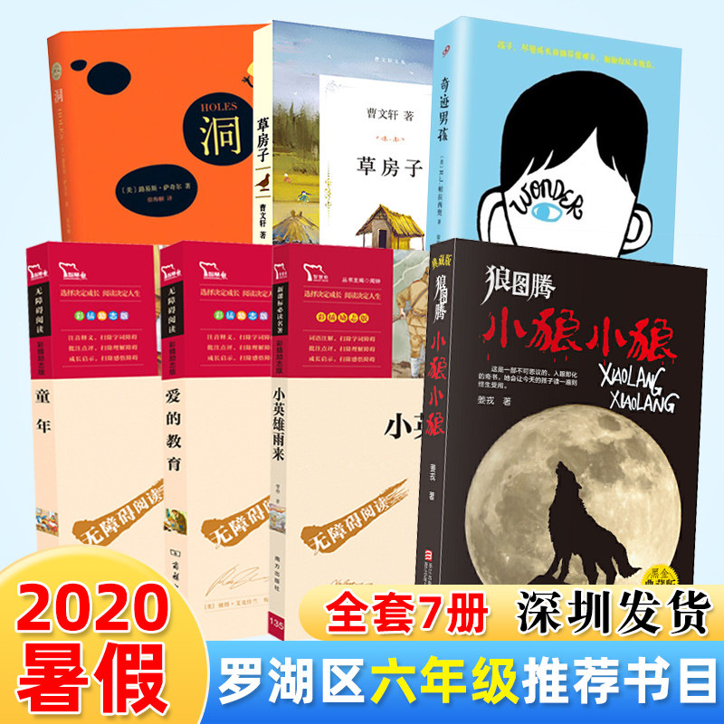 草房子+洞+奇迹男孩+狼图腾小狼小狼+童年+小英雄雨来+爱的教育全七册深圳罗湖区小学生六年级上册暑假推荐必读书目深圳发