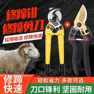 修牛羊蹄剪刀修猪蹄钳子剪蹄神器兽用牛指甲剪牛蹄修理专用工具