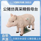 仿真猪采精假母台种公猪采精台一个 约克 YORK 浇筑水泥更耐用