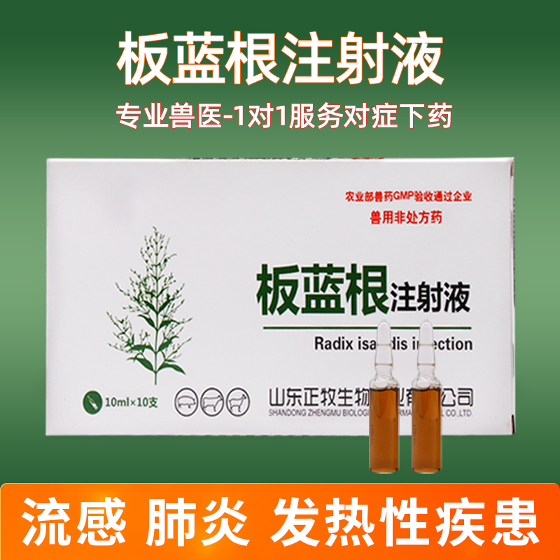 圣奥兽药注射液板蓝根