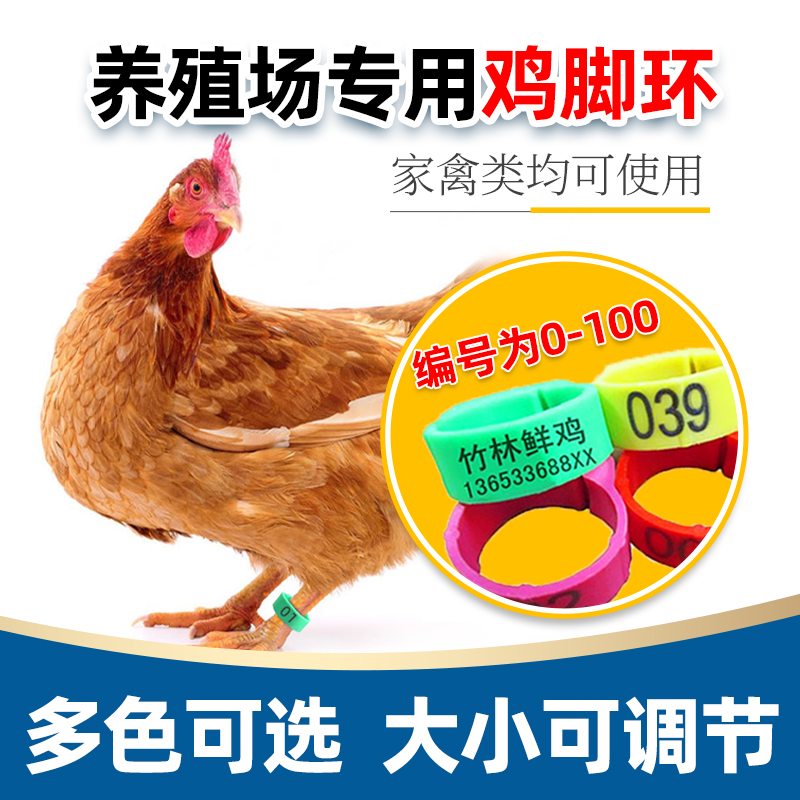 鸡脚环记号卡扣式鸡脚环扣记号识别环鸡鸭鹅鸽家禽类脚环脚圈标签